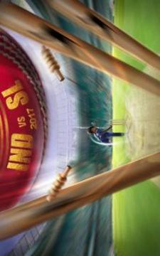 India vs Sri Lanka 2012游戏截图5