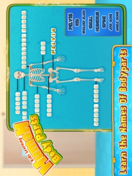 Kids Human Body Parts: Learning Game游戲截圖1