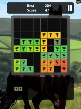 Horse Blocks - Puzzle Games游戲截圖5