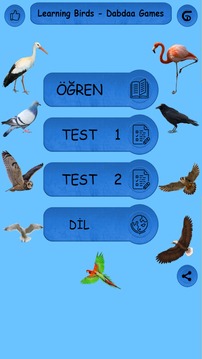 Learning Birds with Picture - Test - Sound游戏截图4