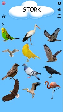 Learning Birds with Picture - Test - Sound游戏截图2