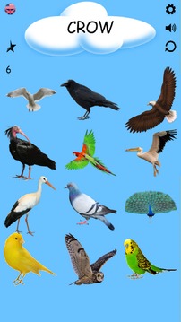 Learning Birds with Picture - Test - Sound游戏截图3