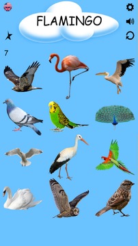 Learning Birds with Picture - Test - Sound游戏截图1