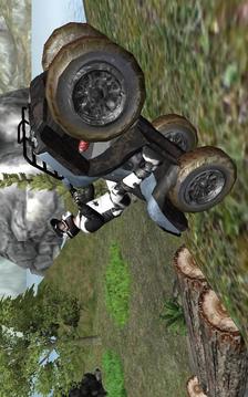 Quad Racing Mania Challenge游戲截圖3