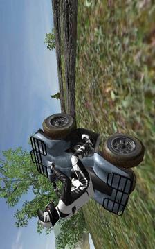 Quad Racing Mania Challenge游戲截圖5