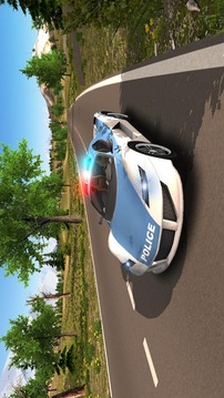 Police Car Driving Offroad游戏截图2