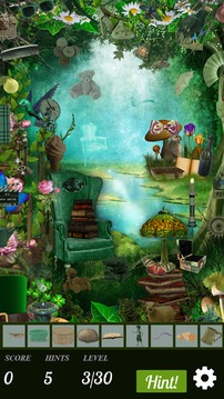 Hidden Object Hunt - Celtic Magic游戲截圖2