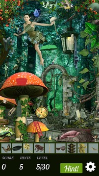Hidden Object Hunt - Celtic Magic游戲截圖3