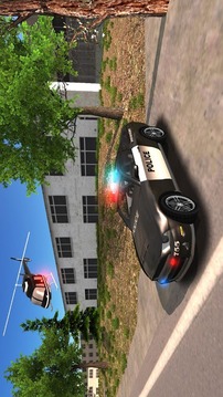 Police Car Driving Offroad游戏截图5