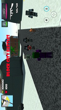 Block City Battles游戲截圖1