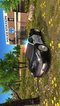 Police Car Driving Offroad游戏截图1