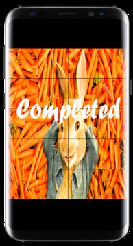 Puzzle for Peter Rabbit游戲截圖4