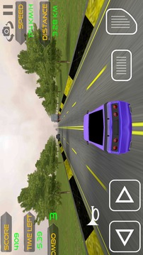 Extreme Traffic Car Driver游戲截圖1