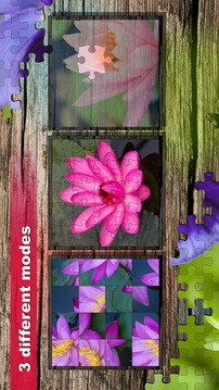 Jigsaw puzzle: Flower game blossom saga for family游戲截圖4
