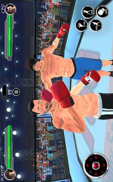 真正的打拳击冠军3D：MMA格斗2k18游戏截图1