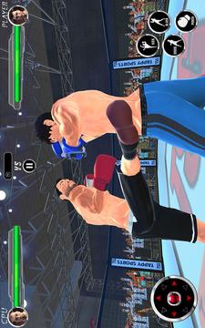 真正的打拳击冠军3D：MMA格斗2k18游戏截图2