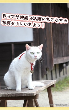 和玉之丞一起游戲截圖3