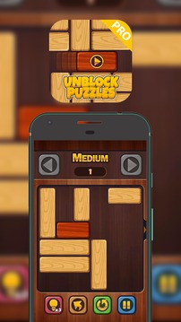 Unblock Puzzle Pro 2018游戲截圖3