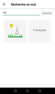 Absolutely French游戲截圖4