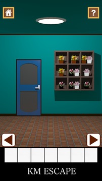 Flower Room - room escape game -游戲截圖1