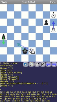 Texel Chess Engine游戲截圖1