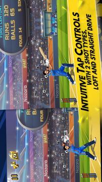 Virat Cricket游戲截圖5