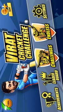 Virat Cricket游戲截圖1