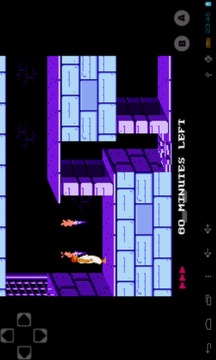 NES Emulator - FREE 150+ BEST NES GAMES游戲截圖2