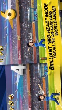 Virat Cricket游戲截圖4