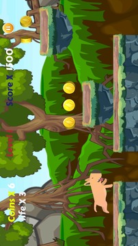 Cute Dog Escape Game游戲截圖5