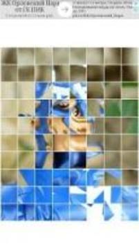 Superheroes puzzle game游戲截圖2