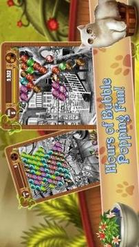 Bubble Pop Mania - Kitty Cat Kingdom游戲截圖4