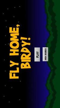 Fly Home, Birdy!游戏截图3