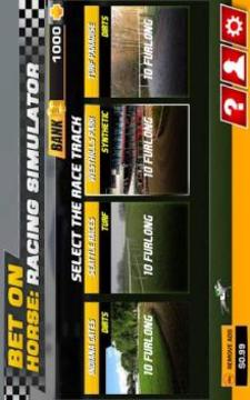 Bet on Horse: Racing Simulator游戲截圖1