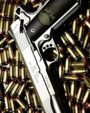 拼圖格洛克槍新武器游戲截圖1