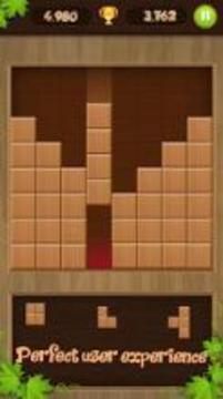 Wooden Block Puzzle 2018游戲截圖1