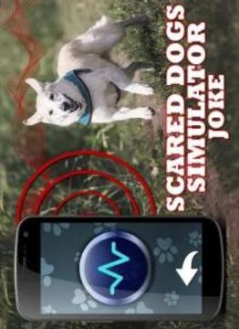 Ultrasound For Dogs Joke Whistle游戲截圖3