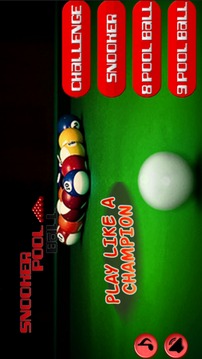 Snooker Poll Ball 3D游戲截圖5