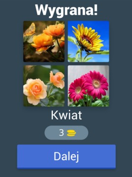 4 fotki 1 s?owo游戲截圖4
