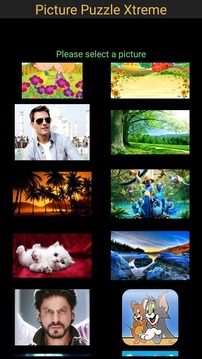 Picture Puzzle Xtreme游戲截圖3