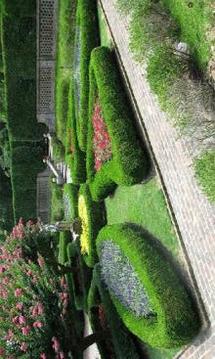 Outdoor Garden Escape游戲截圖1