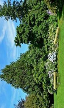 Outdoor Garden Escape游戲截圖3