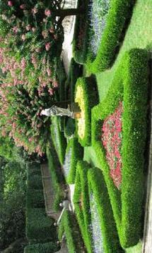 Outdoor Garden Escape游戲截圖2