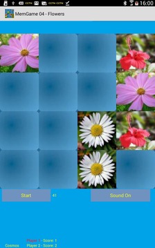MemGame 04 - Flowers游戲截圖2