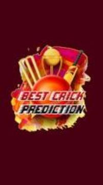 IPL Cricket Prediction游戏截图5