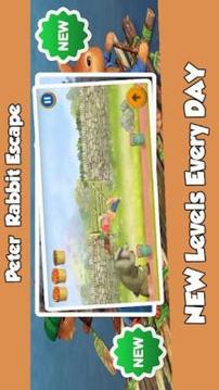 Peter Rabbit Escape游戲截圖2