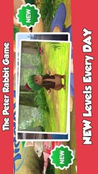 Peter Rabbit Game游戲截圖4