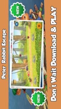 Peter Rabbit Escape游戲截圖1