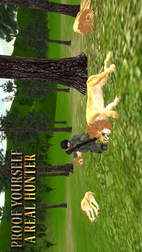 Lion Hunting - Jungle Animal Hunter 3D 2018游戲截圖3
