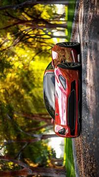 Sport Cars Wallpapers & Puzzle游戲截圖4